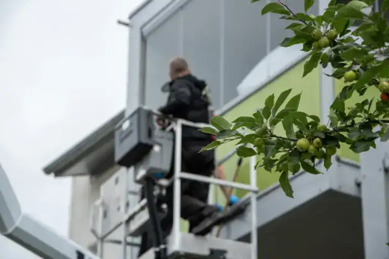 Taloyhtiön ikkunanpesu – mitä huomioida ikkunanpesun kilpailutuksessa?